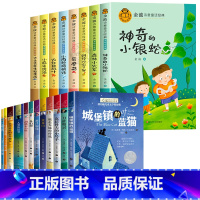 [全20册]金波诗意童话+纽伯瑞获奖儿童文学 [正版]金波诗意童话经典故事书彩色注音版全套8册小雨的悄悄话森林小火车神奇