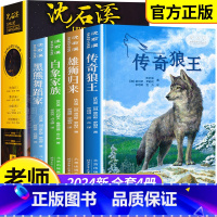 [全套4册]沈石溪世界动物小说典藏 [正版]沈石溪世界动物小说典藏全集全套传奇狼王梦雄狮归来白象家族黑熊舞蹈家小学生四五