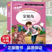 [正版]金银岛 世界名著 小学生课外阅读书籍三四五六年级必读经典书目原著青少年版3-4-5-6年级语文名著儿童文学故事