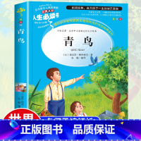 [正版]青鸟书 世界名著小学生课外阅读书籍三四年级必读经典书目名师指导五六年级语文读物青少年儿童文学读物故事书6-12