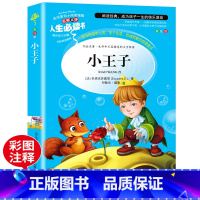 [正版]小王子书 圣埃克苏佩里/著小学生课外阅读书籍三四五六年级必读名师指导经典书目青少年读物儿童文学名著故事书原著完