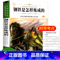 [正版]阅读名著钢铁是怎样炼成的无障碍阅读青少版 三四五六年级课外书阅读名著名师指导 6-12岁儿童读物书籍