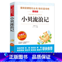 [正版]阅读 小贝流浪记孙幼军著 无障碍精读版青少版名著 课外书10-15岁小学生五六年级bi读儿童文学书籍 天地出
