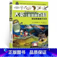 [正版]大英儿童漫画百科 探秘两栖爬行世界中国少年儿童百科全书 小学生大百科十万个为什么恐龙地理海洋动物世界6-12岁