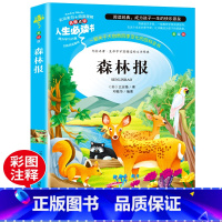 [正版]森林报全集春夏秋冬四册合一经典书目 小学生必读课外阅读书籍三四五六年级故事书6-7-9-10-12周岁儿童读物