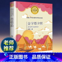 [正版]金字塔夕照 穆青著 五年级 版小学语文教科书同步阅读书系 小学五年级下册必读课外书名师指导小学生课外书籍长江文