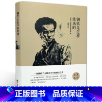 [正版]钢铁是怎样炼成的 尼·奥斯特洛夫斯基 名家名译 青少年初中生课外读物 世界经典文学名著长篇小说外国文学书
