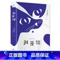 [正版]我是猫 夏目漱石书经典外国小说九年级下册必读初高中生课外书世界经典文学名著成人青少版小说故事书名师指导七八九年