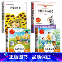 [正版]全套4册小英雄雨来曹文轩青铜葵花细菌世界历险记宝葫芦的秘密小学生儿童文学文集经典书目三四五六年级下必读课外经典