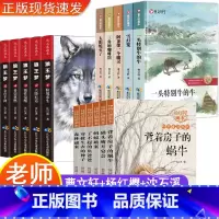 [正版]沈石溪动物小说狼王梦画本曹文轩画本系列儿童文学杨红樱校园小说系列全套16册三四五六年级必读小学生课外阅读书籍