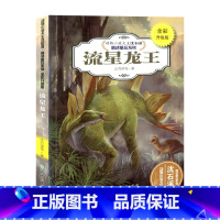 [正版]名师指导三四五六年级经典读物 新版沈石溪 动物小说 流星龙王 中小学生课外书儿童书精读系列小学课外必读书籍 全