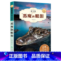 [正版]动物小说大王沈石溪新版 精读酷玩系列 恶魔的眼泪 三四五六年级中小学生儿童课外必读书籍 少儿经典读物全新升级珍