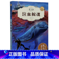 [正版]沈石溪动物小说 泣血鲸魂 全新升级珍藏版 三/四/五/六/年级小学课外书必读阅读 儿童书精读系列经典读物 小学