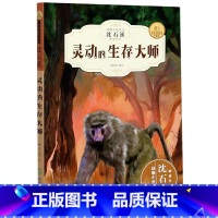 [正版]沈石溪新版动物小说精读酷玩系列 灵动的生存大师 全新升级珍藏版中小学生三四五六年级经典读物 必读课外书儿童书籍
