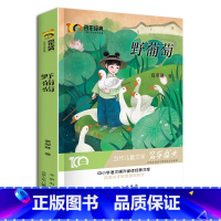 [正版]野葡萄 新中国成立儿童文学经典作品集6-12岁小学生课外书籍 三四五六年级必读经典儿童文学 名师指导课