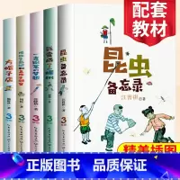 [正版]全套5册三年级课外书必读小学语文课文同步拓展阅读非人教版3年级下册昆虫备忘录一支铅笔的梦想 小学语文教科书同步