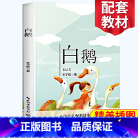 [正版]白鹅 丰子恺著 四年级阅读小学语文同步阅读 名师经典文学名作 课外拓展阅读 阅读写作能力提升 长江文艺出版社
