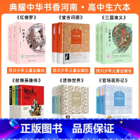 高中必读6本 [正版]一二三四五六年级长鼻子和短鼻子大个子老鼠小个子猫我成了个隐身人吃百家饭的孩子羊群里的孩中国轨道号雷