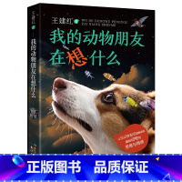 《我的动物朋友在想什么》长江少年儿童出版社 [正版]我的动物朋友在想什么长江少年儿童出版社吴洲星四川典耀共读四年级典耀中