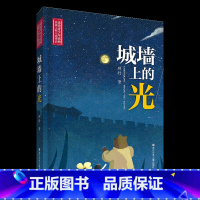 《城墙上的光》-浙江少年儿童出版社 [正版]城墙上的光浙江少年儿童出版社顾抒六年级四川典耀共读