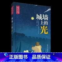 《城墙上的光》-浙江少年儿童出版社 [正版]城墙上的光浙江少年儿童出版社顾抒六年级四川典耀共读