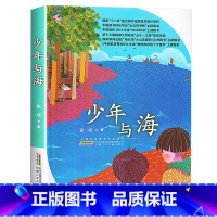 《少年与海》安徽少年儿童出版社 [正版]书香共读六升七年级少年与海居民楼里的时光刘兴诗爷爷讲述中国地理华北东北云端小学6