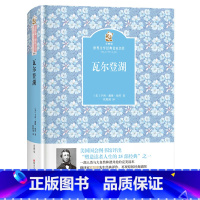 瓦尔登湖 [正版]瓦尔登湖四川少年儿童出版社2023年广东朝阳读书八年级书香河南山西整本书阅读笔墨书香经典阅读课外书阅读