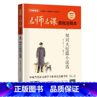 契诃夫短篇小说选 [正版]契诃夫短篇小说选华语教学出版社2023年广东朝阳读书九年级笔墨书香经典阅读课外书