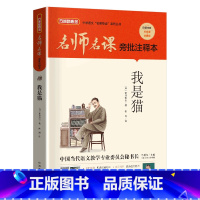 我是猫 [正版]我是猫华语教学出版社2023年广东朝阳读书九年级贵笔墨书香经典阅读课外书阅读必读