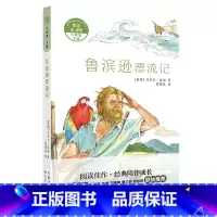6年级下《鲁滨逊漂流记》 [正版]阅美寒假标准书目之鲁滨逊漂流记六年级下册课外阅读长江少年儿童出版社快乐读书吧整本书阅读