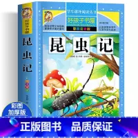 昆虫记[彩图注音版] [正版]昆虫记 彩绘注音版加厚原著完整版好孩子书屋系列儿童文学名著故事读物必小学生一二三四五六年级