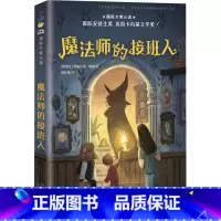 魔法师的接班人 [正版]魔法师的接班人 国际大奖小说玛格丽特·梅喜必四年级课外书读经典书目 小学生课外阅读书籍10-11