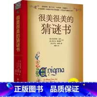 很美很美的猜谜书 [正版]很美很美的猜谜书 10-12-15岁 初中小学生益智打谜语课外读物书籍提高孩子数学空间逻辑思维