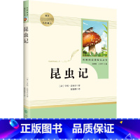 昆虫记 [正版]昆虫记 法布尔原著完整版全译本人民教育出版社8年级上册书初中生语文图书籍可搭长征红星照耀中国昆虫记八年级