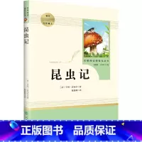 昆虫记 [正版]昆虫记 法布尔原著完整版全译本人民教育出版社8年级上册书初中生语文图书籍可搭长征红星照耀中国昆虫记八年级