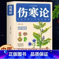 [4册]伤寒论+特效药酒+除寒祛湿+中草药鉴别与应用 [正版]伤寒论 张仲景 中医书籍大全 彩图典藏版含原文注释译文 杂