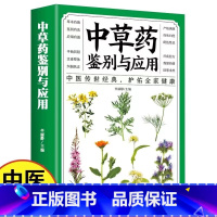 [正版]中草药鉴别与应用 从零开始学中医基础理论知识入门医学书籍家庭实用百科全书养生书籍