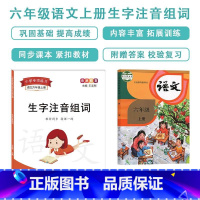 生字注音(六年级上册) [正版]帝源六年级上册下册语文生字注音组词辨析形近字多音字练习题训练形近字强化练习练习册小学人教