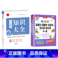 知识大全+字词大全共2册 [正版]小学数学知识大全小学生多音字同音字大全小考真题全面备考讲练结合