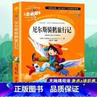 尼尔斯骑鹅旅行记 [正版]尼尔斯骑鹅旅行记小学生三四五六年级课外阅读彩图儿童读物世界经典名著书儿童故事原著老师睡前故事名