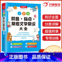 无颜色 小学通用 [正版]开心教育 小学语文拼音·标点·常用文学常识大全 一二三四五六年级123456年级语文辅导资料