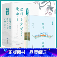 [正版]诗情画意:唐诗宋词元曲 套装共3册 古诗词大全集 高中生用鉴赏赏析诗词大会书籍全套 诗集古诗全唐诗宋诗300首