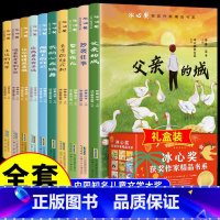 冰心奖获奖作家精品书系 [正版]冰心奖获奖作家精品书系全10册儿童文学作品集全集父亲的城 永远的风景小学生三四五六年级阅