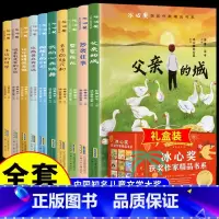 冰心奖获奖作家精品书系 [正版]冰心奖获奖作家精品书系全10册儿童文学作品集全集父亲的城 永远的风景小学生三四五六年级阅