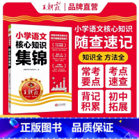 小学核心知识集锦3本[语文+数学+英语] 小学通用 [正版]2024核心知识集锦语文数学英语基础知识大盘点一二三四五六年
