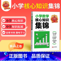 数学 小学通用 [正版]核心知识集锦数学基础知识大盘点一二三四五六年级小升初大集结考点初中衔接小学知识大全手册人教版考试