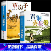 青铜葵花+草房子[2册] [正版]青铜葵花曹文轩原著完整版 小英雄雨来三四五六年级阅读课外书 草房子曹文轩课外阅读书籍儿
