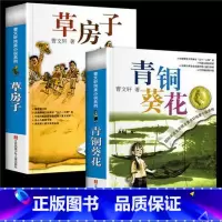青铜葵花+草房子[2册] [正版]青铜葵花曹文轩原著完整版 小英雄雨来三四五六年级阅读课外书 草房子曹文轩课外阅读书籍儿