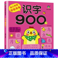 识字900个 [正版]幼小衔接学前准备900题语文数学成语接龙识字幼儿园中大班早教书 全套5册