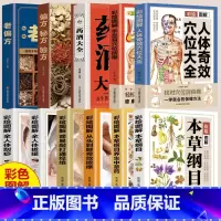 彩绘图解本草纲目养生中草药 [正版]彩绘图解系列中医百科大全 全11册 本草纲目 按摩拔罐刮痧药酒穴位偏方中药材 中草药